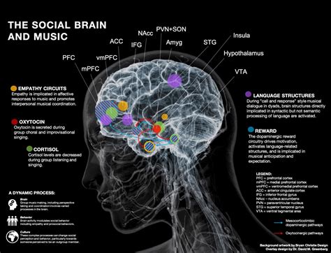 Why Do People Make Music and the Emotional Expression It Encodes